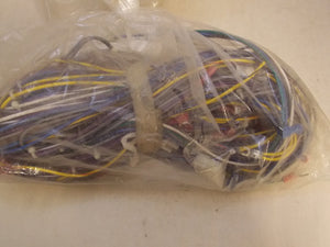 Laars E2350800 Wire Harness #3 , MainTrnk