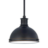 Generation Lighting 65085-715 One Light Pendant , Bronze Tones Finish