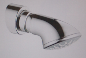 Grohe 27069000 Relexa Ultra 100 5-Sprays 4" Shower Head With Shower Arm , Chrome