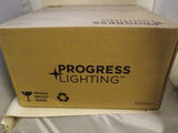 Lighting de progreso P5342-1630K9 Costeo LED de domo en aluminio satinado